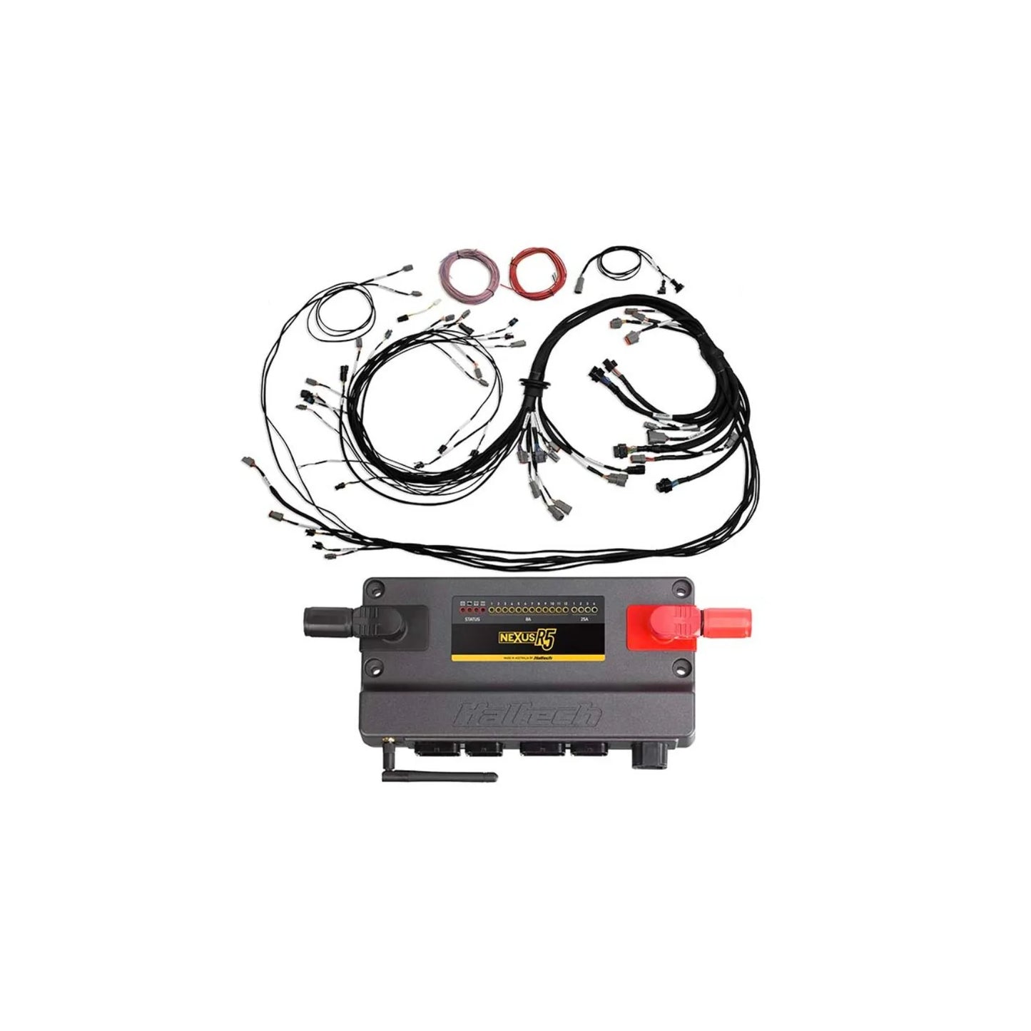 Haltech Nexus R5 ECU + Universal V8 Terminated Harness