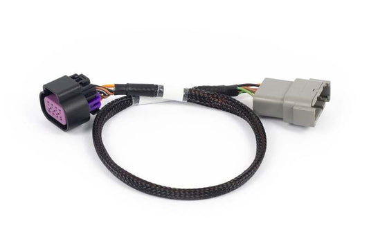 Haltech Nexus Rebel LS - 8-pin DBW adaptor