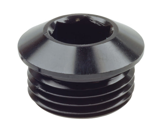 Raceworks AN In-Hex O-Ring Plugs
